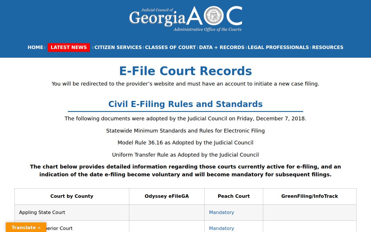 Georgia court records e-filing provider participation matrix