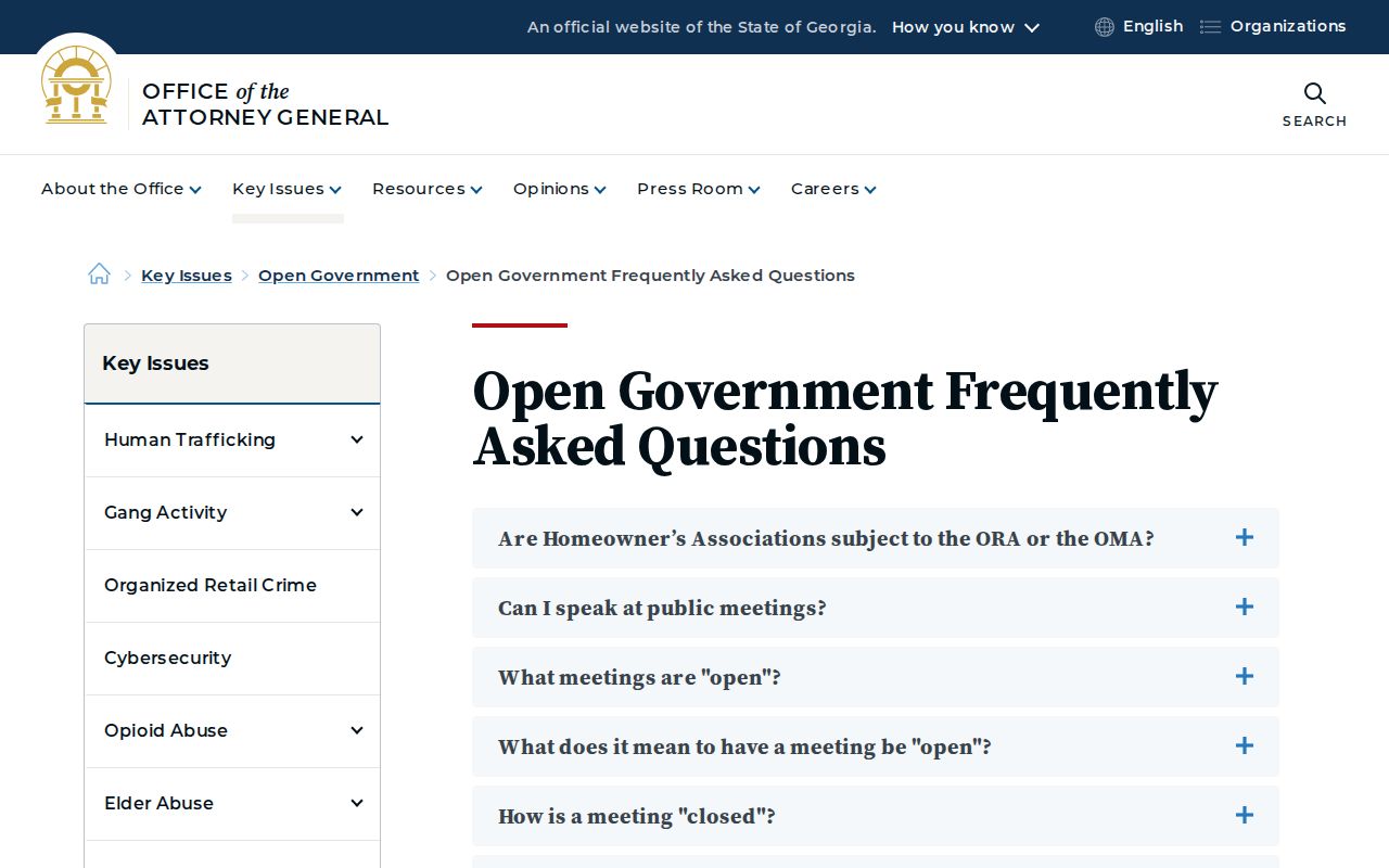 Georgia court records official public record definitions and electronic access